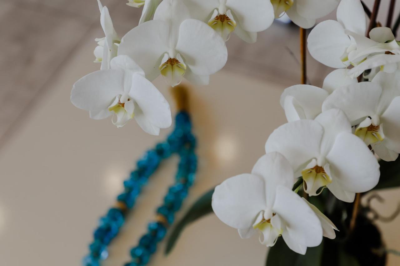 Endless Blue Apartment ปาเลออน ซิฟลิคิออน ภายนอก รูปภาพ